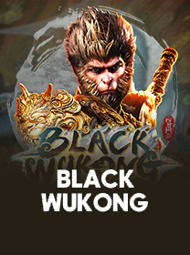 Black-Wukong game cover